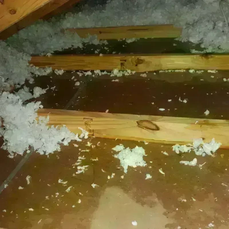 Attic Water Damage in Wampsville, NY